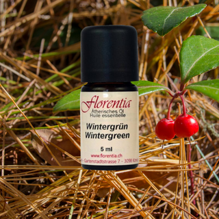 Wintergrün wild 5 ml - Wohlfühlprodukte