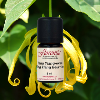 Ylang Ylang-extra Bio 5 ml - Wohlfühlprodukte