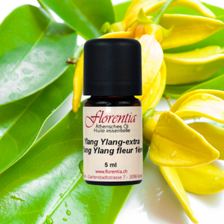 Ylang Ylang-extra Bio 5 ml - Wohlfühlprodukte