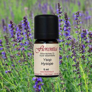 Ysop Bio 5 ml - Wohlfühlprodukte