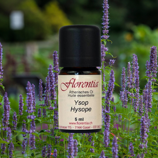 Ysop Bio 5 ml - Wohlfühlprodukte