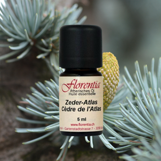 Zeder-Atlas Bio 5 ml - Wohlfühlprodukte