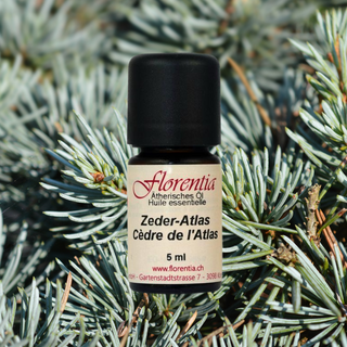 Zeder-Atlas Bio 5 ml - Wohlfühlprodukte