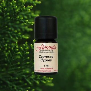 Zypresse Bio 5 ml - Wohlfühlprodukte