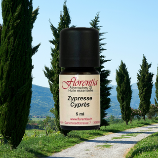 Zypresse Bio 5 ml - Wohlfühlprodukte