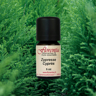 Zypresse Bio 5 ml - Wohlfühlprodukte