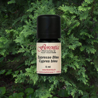 Zypresse Blau wild 5 ml - Wohlfühlprodukte