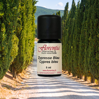 Zypresse Blau wild 5 ml - Wohlfühlprodukte