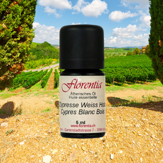 Zypresse Weiss Holz Wild 5ml - Wohlfühlprodukte