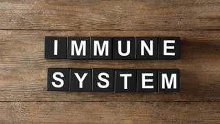Die Risiken eines geschwächten Immunsystems