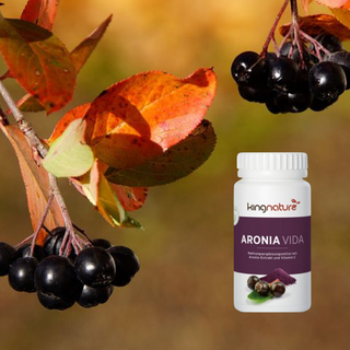 Antioxidantien: Entdecken Sie 5 kraftvolle Produkte jetzt!