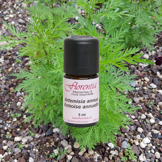 Produits antiviraux et antibactériens pour votre santé