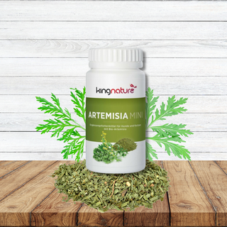 Kingnature Artemisia Mini – Natürliche Kraft für Ihr Immunsystem und Wohlbefinden 🌿🌟
