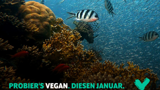 Mach mit beim Veganuary: Ein Monat, der dein Leben verändern kann!