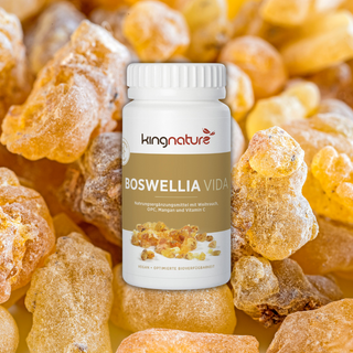 Entdecken Sie die Kraft der Natur mit Kingnature Boswellia Vida – Ihr Schlüssel zu mehr Wohlbefinden! 🌿✨