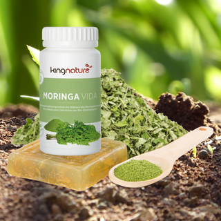 Beneficios Increíbles del Moringa para Tu Salud