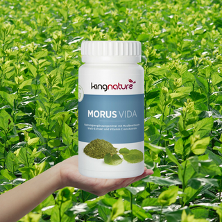 Unlock Health Benefits of Mulberry Leaves and DNJ