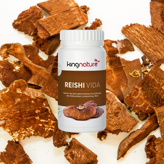 Bienfaits du Reishi Vida Bio pour votre santé
