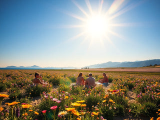 El Poder del Sol: Todo lo que Necesitas Saber sobre la Vitamina D