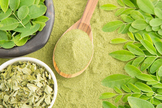Moringa oleifera (Dr. med. Heinz Lüscher)