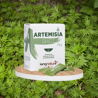 Artemisia Shot (Pet) - Wohlfühlprodukte