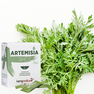 Artemisia Shot (Pet) - Wohlfühlprodukte