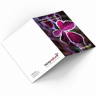 Geschenk-Gutschein - Wohlfühlprodukte