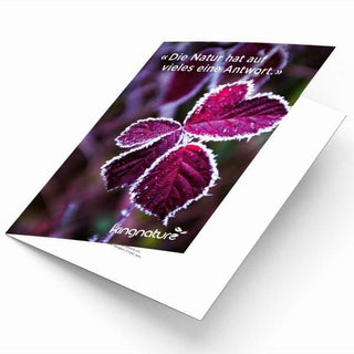 Geschenk-Gutschein - Wohlfühlprodukte