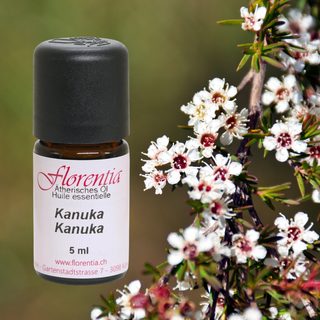 Kanuka Wild 5 ml - Wohlfühlprodukte