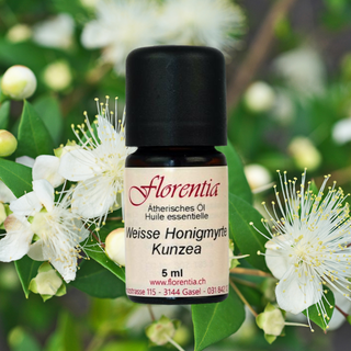 Weisse Honigmyrte (Kunzea) 5 ml wild - Wohlfühlprodukte