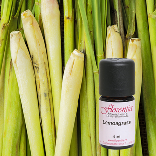 Lemongrass Bio 5 ml - Wohlfühlprodukte