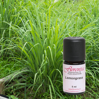 Lemongrass Bio 5 ml - Wohlfühlprodukte