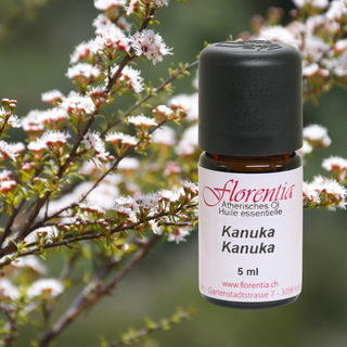 Kanuka Wild 5 ml - Wohlfühlprodukte