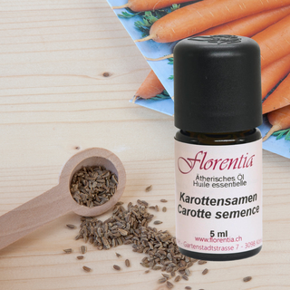 Karottensamen wild 5 ml - Wohlfühlprodukte