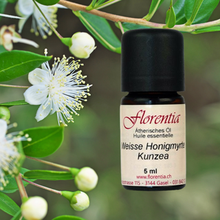 Weisse Honigmyrte (Kunzea) 5 ml wild - Wohlfühlprodukte