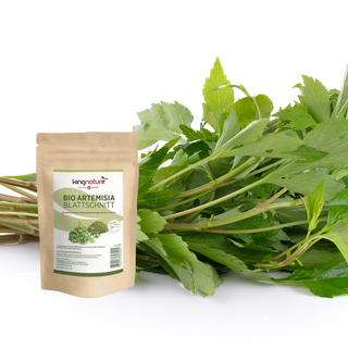 Artemisia Blattschnitt Bio - Wohlfühlprodukte