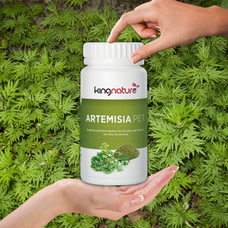 Artemisia PET Bio - Wohlfühlprodukte