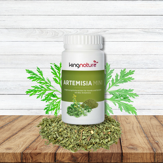 Artemisia PET Mini - Wohlfühlprodukte