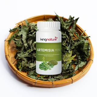 Artemisia PET Mini - Wohlfühlprodukte