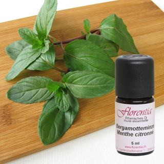 Bergamotteminze Bio 5 ml - Wohlfühlprodukte