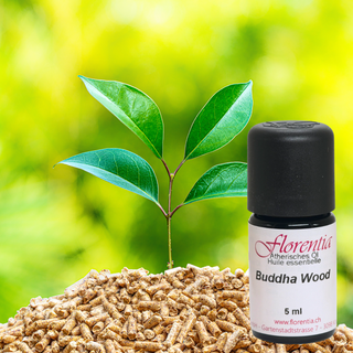 Buddha Wood 5 ml - Wohlfühlprodukte