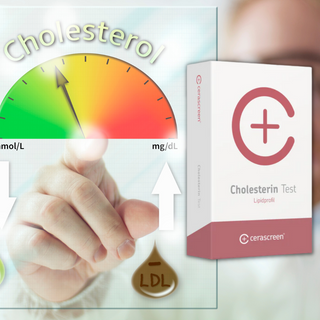 Cholesterin Test - Wohlfühlprodukte