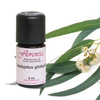 Eukalyptus-globulus 5 ml - Wohlfühlprodukte