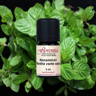 Nanaminze Bio 5 ml - Wohlfühlprodukte