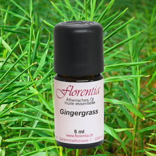 Gingergrass wild 5 ml - Wohlfühlprodukte