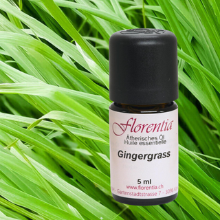 Gingergrass wild 5 ml - Wohlfühlprodukte