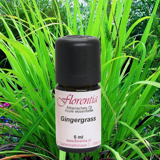 Gingergrass wild 5 ml - Wohlfühlprodukte