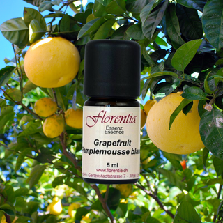 Grapefruit weiss 5 ml (Florentia) - Wohlfühlprodukte