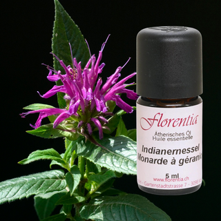 Indianernessel 5 ml - Wohlfühlprodukte