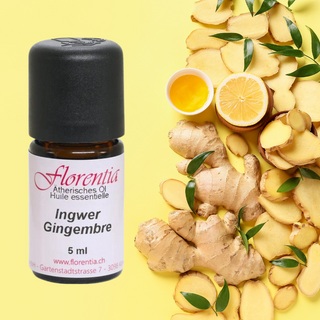 Ingwer Bio 5 ml - Wohlfühlprodukte